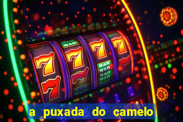 a puxada do camelo no jogo do bicho